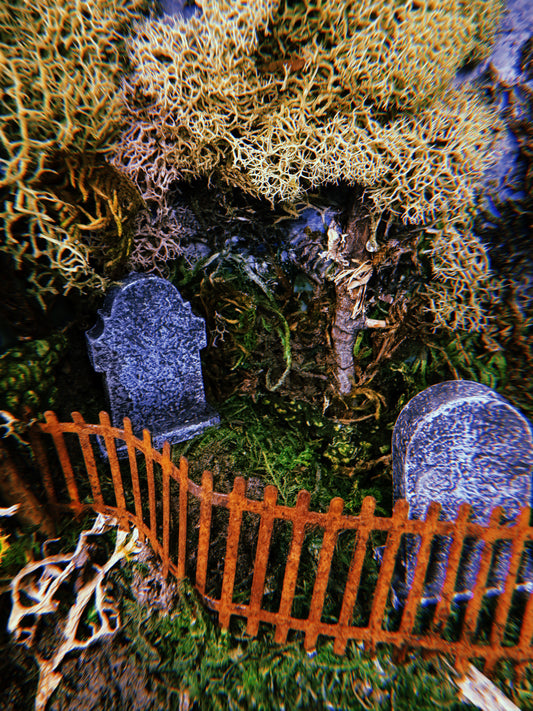 Graveyard Miniature (Acceptance)