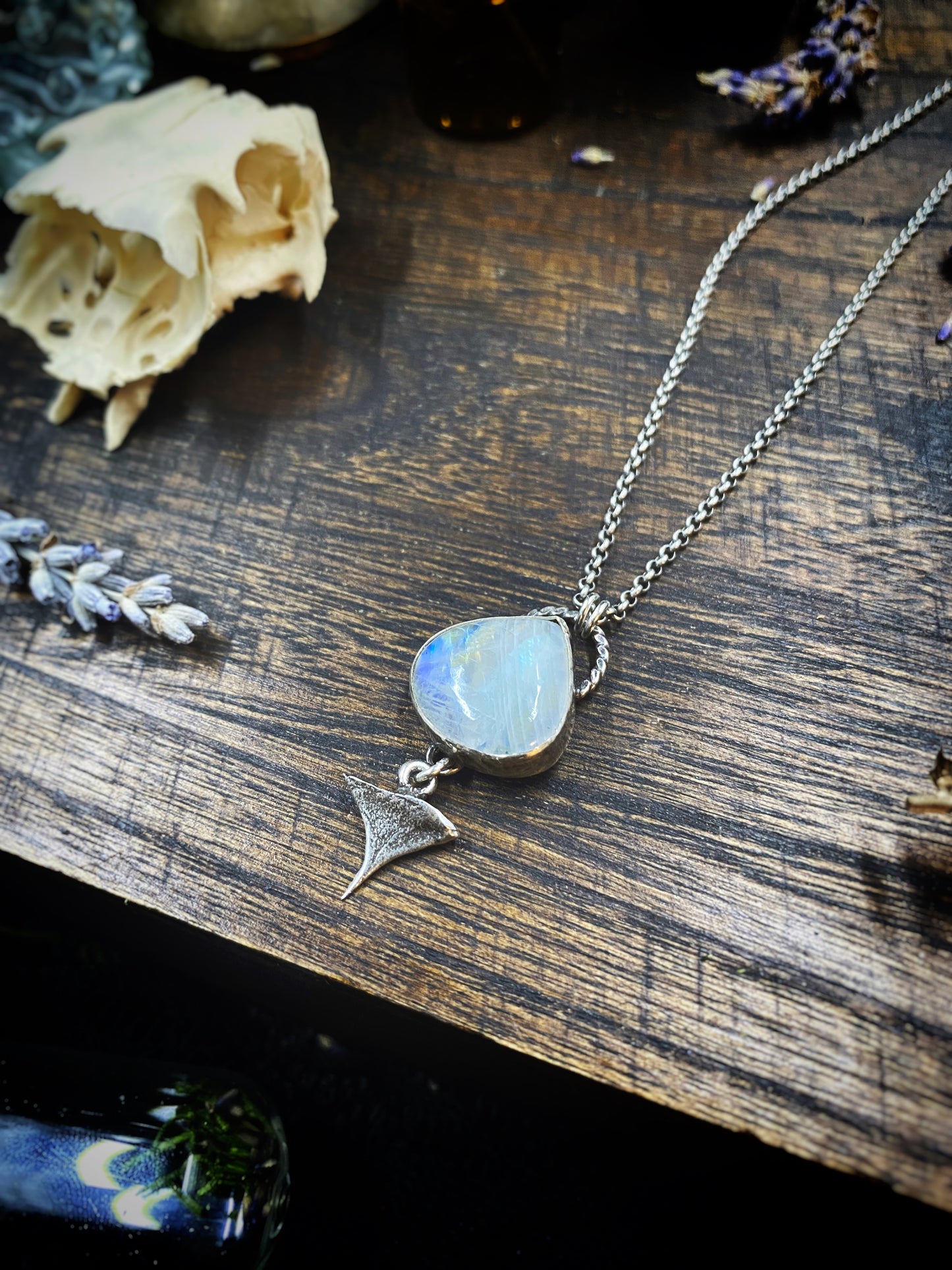 Rainbow Moonstone Thorn Necklace in Sterling Silver