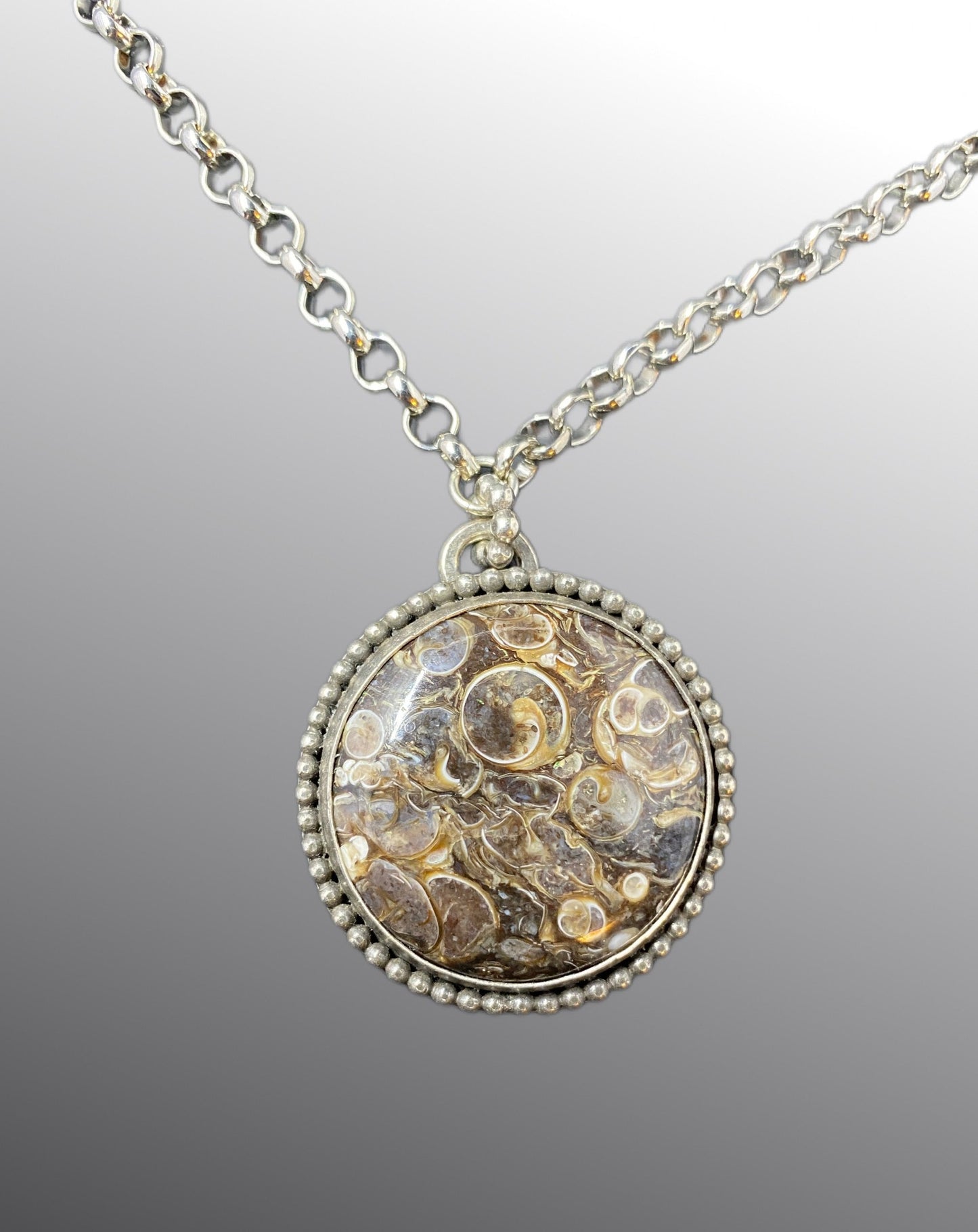 Sterling Shell Fossil Necklace Round