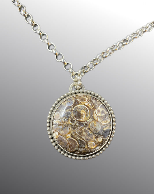 Sterling Shell Fossil Necklace Round