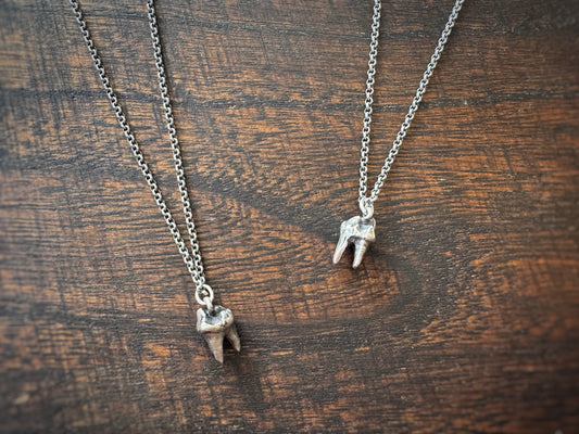Silver Tooth Pendant