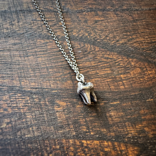 Silver Tooth Pendant