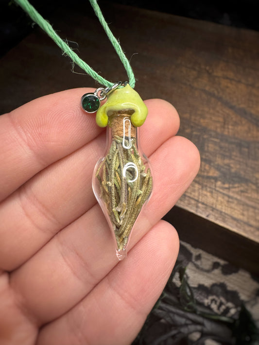 Rosemary Needle Charm Bottle Pendant