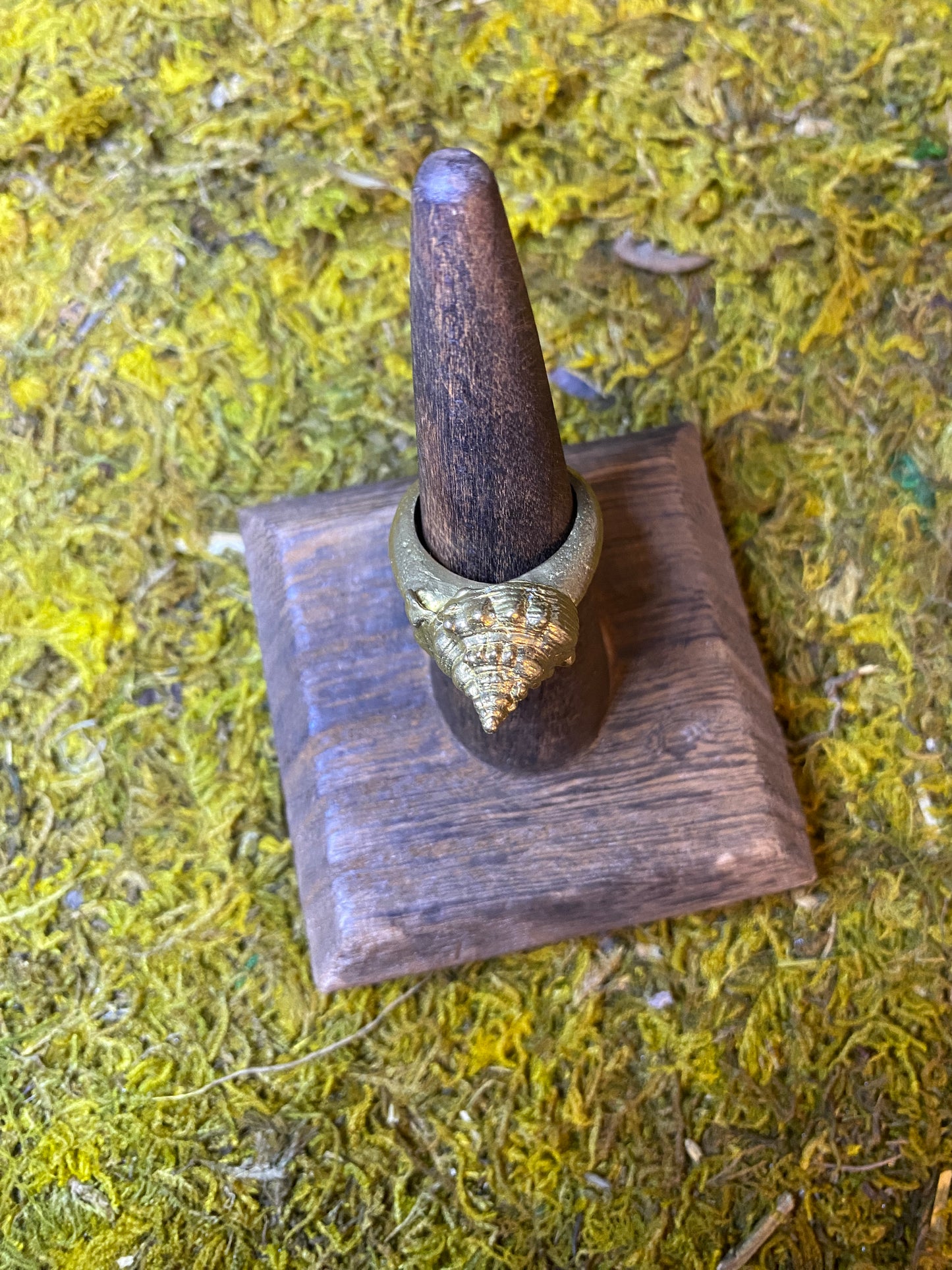Brass Shell Ring (size 7)