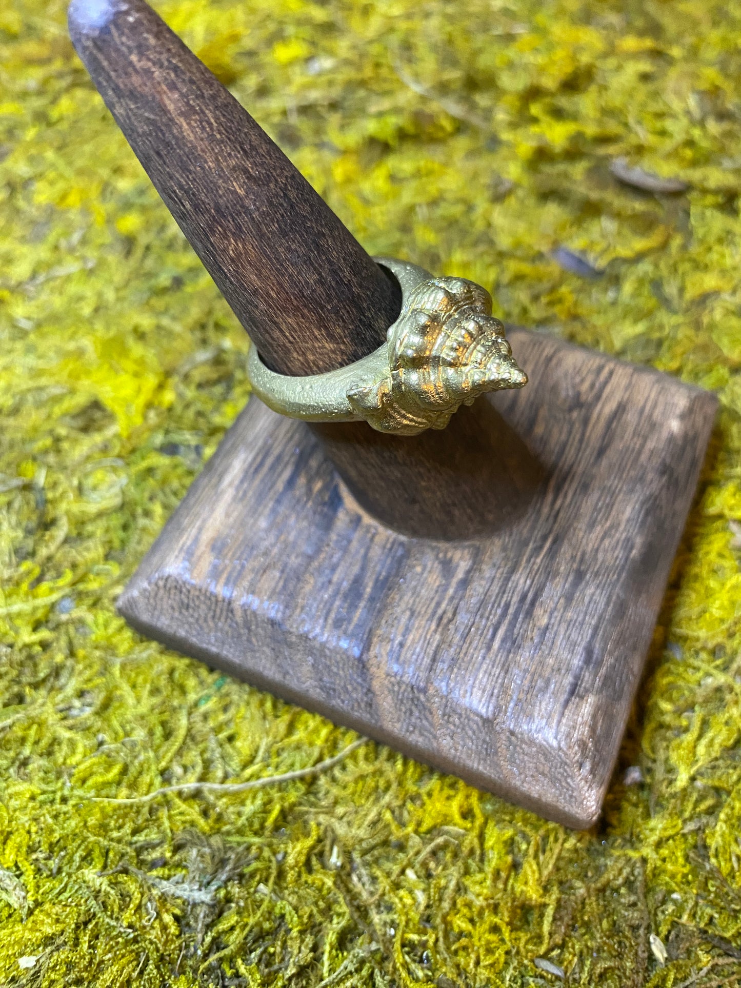 Brass Shell Ring (size 7)