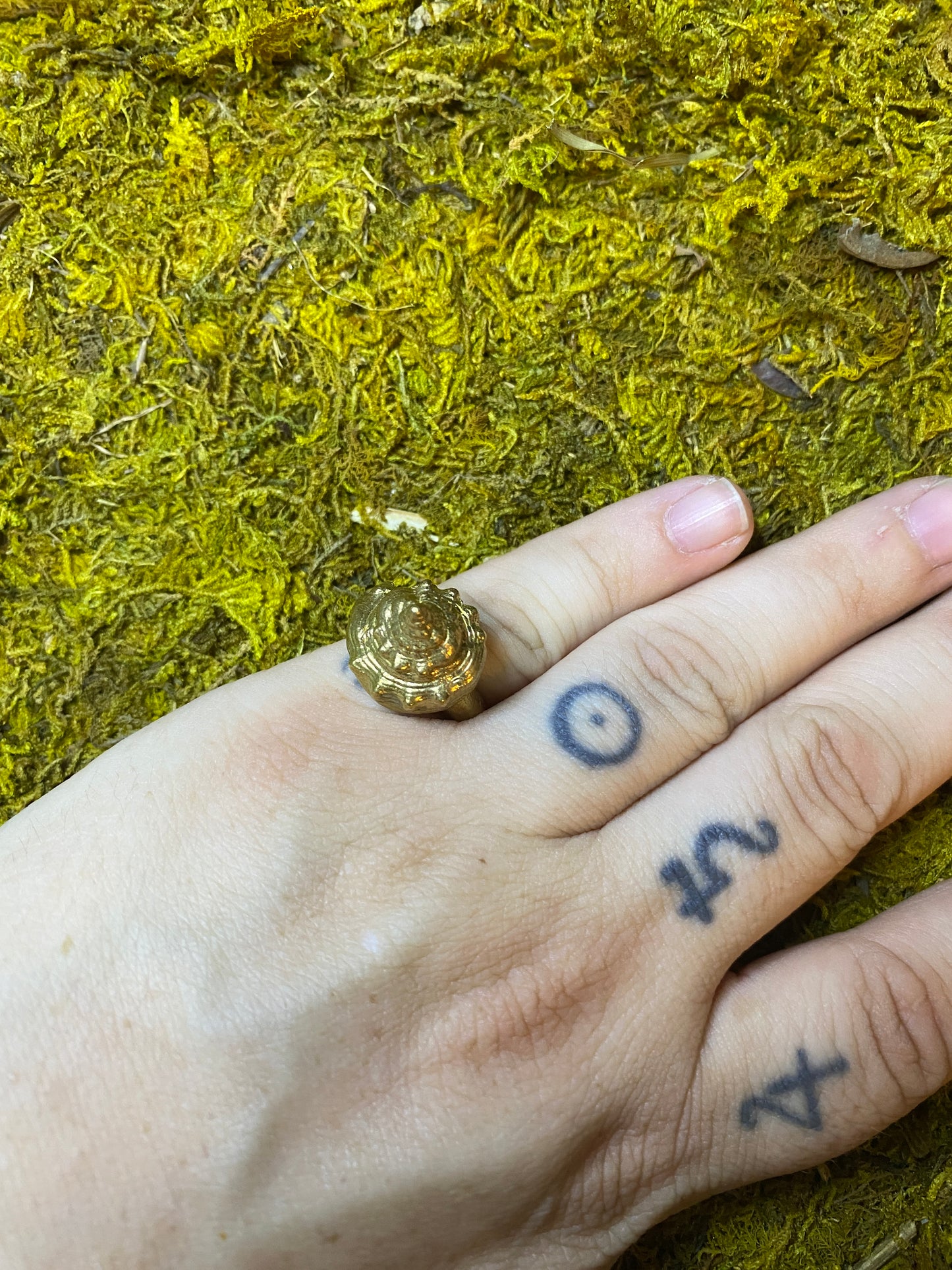 Brass Shell Ring (size 7)