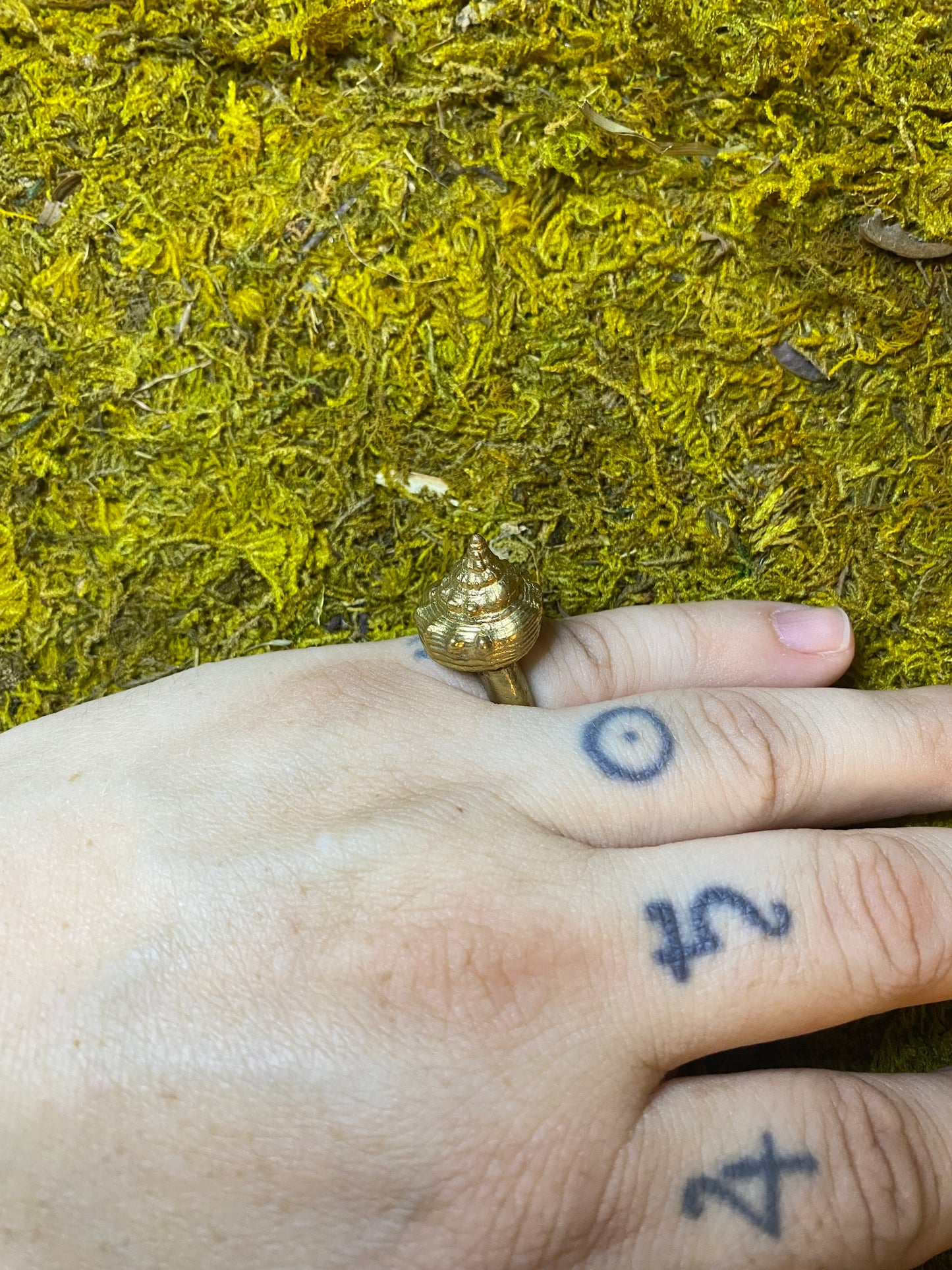 Brass Shell Ring (size 7)