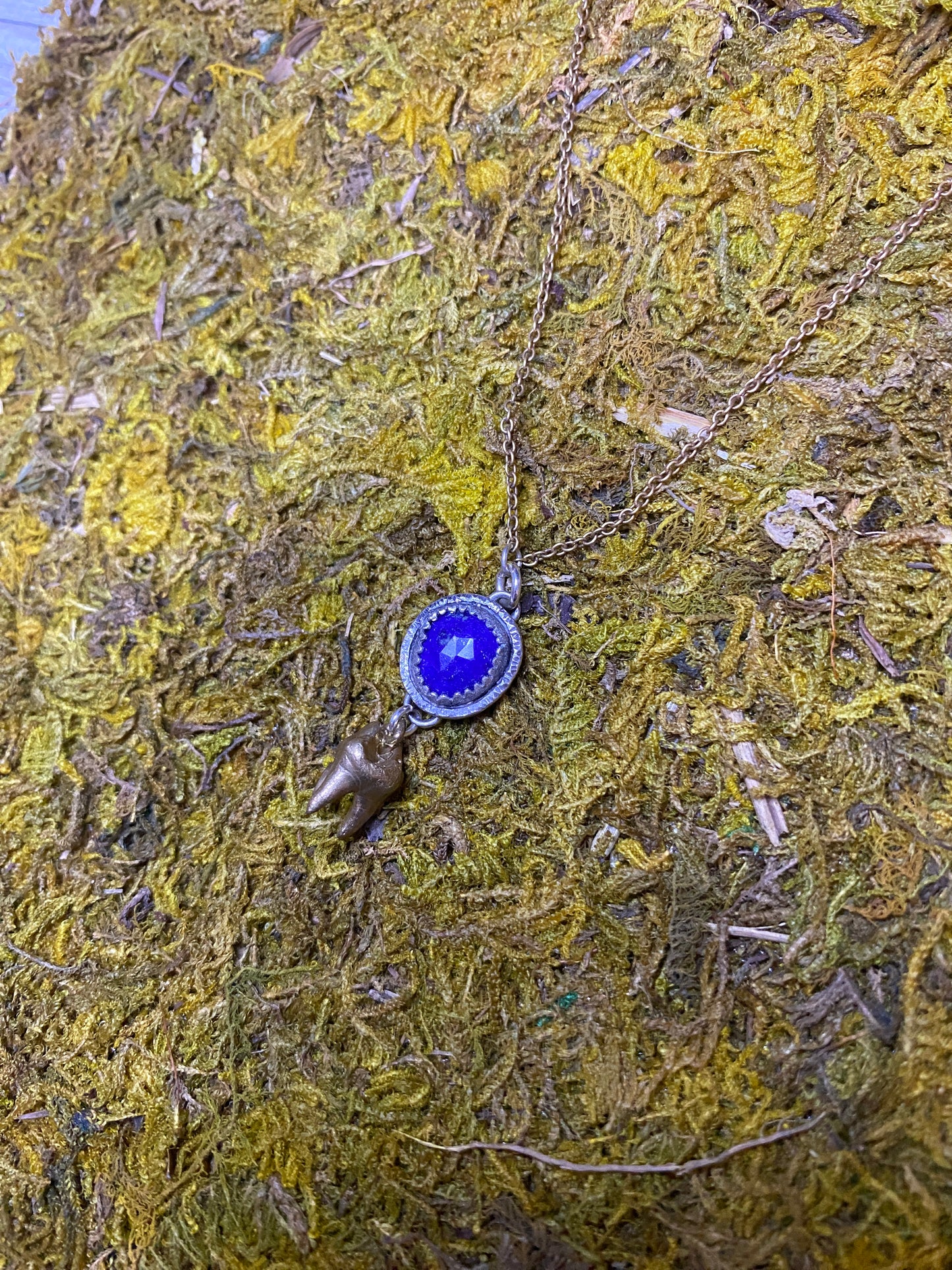 Lapis Lazuli and Cat Tooth Necklace