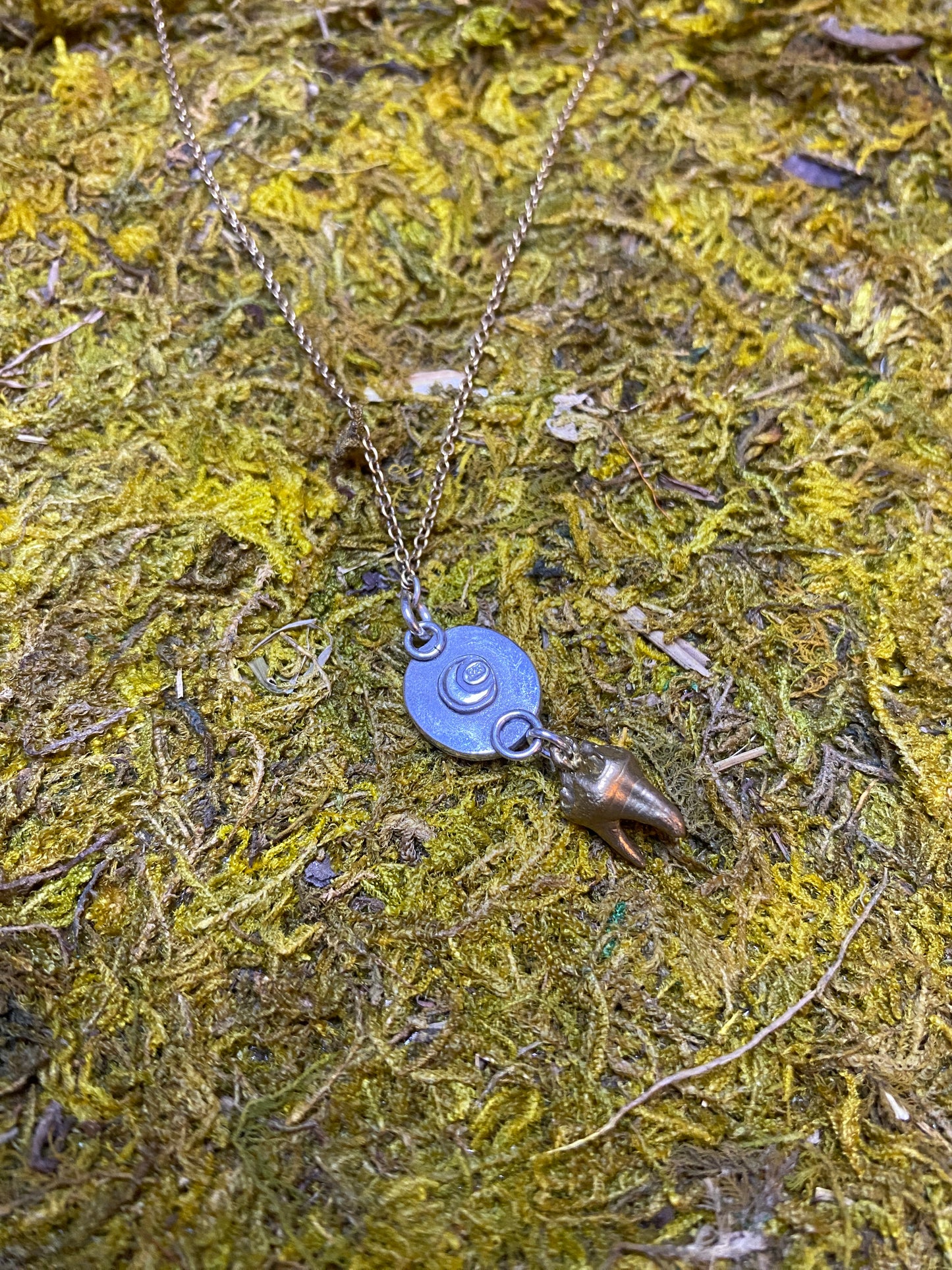 Lapis Lazuli and Cat Tooth Necklace