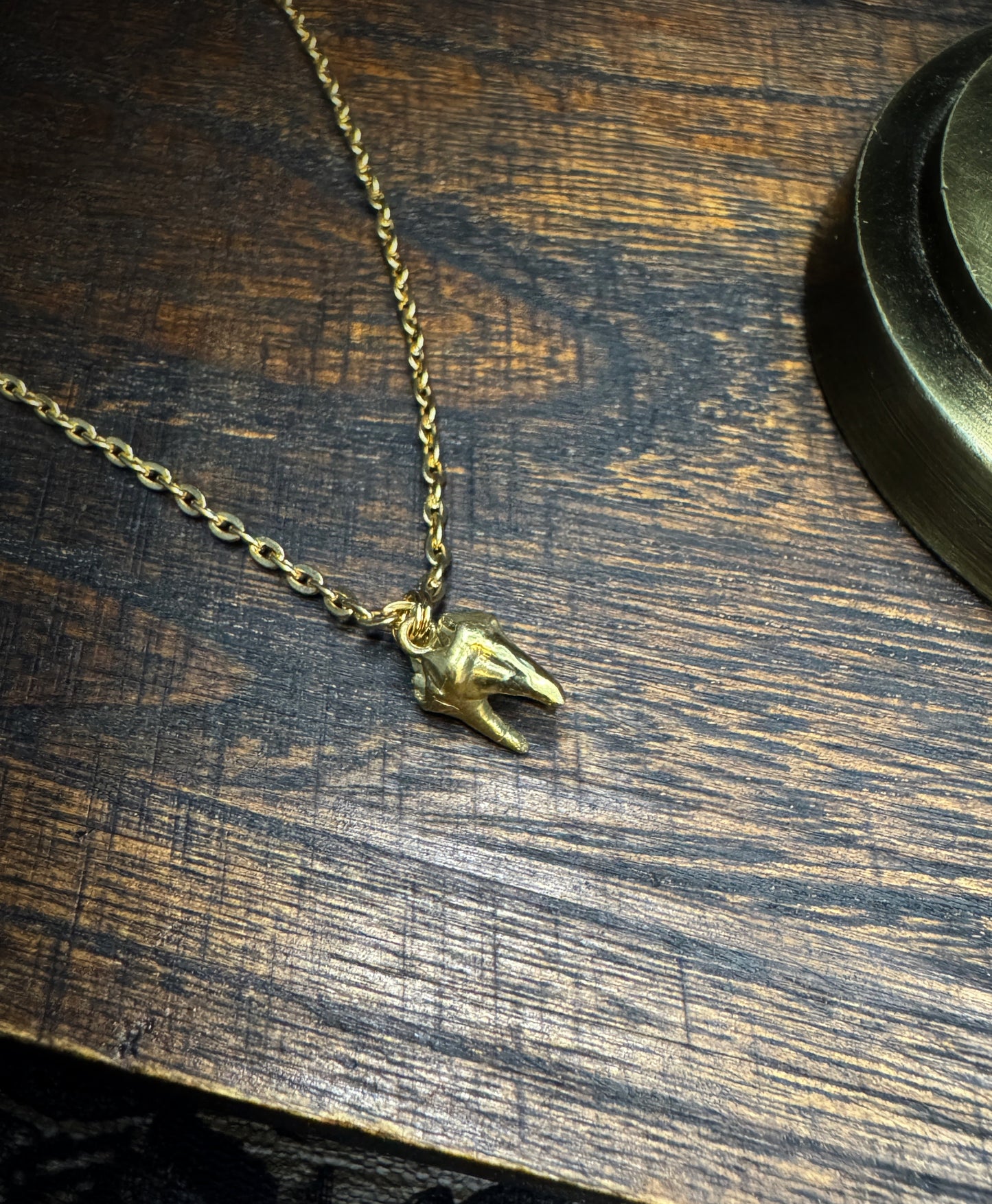 Brass Cat Tooth Necklace