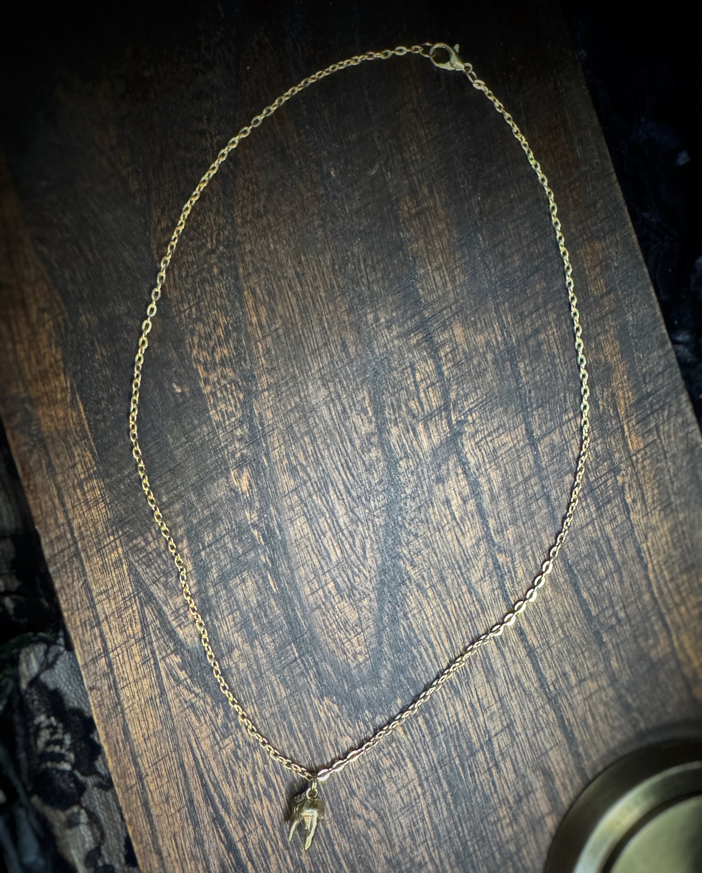 Brass Cat Tooth Necklace