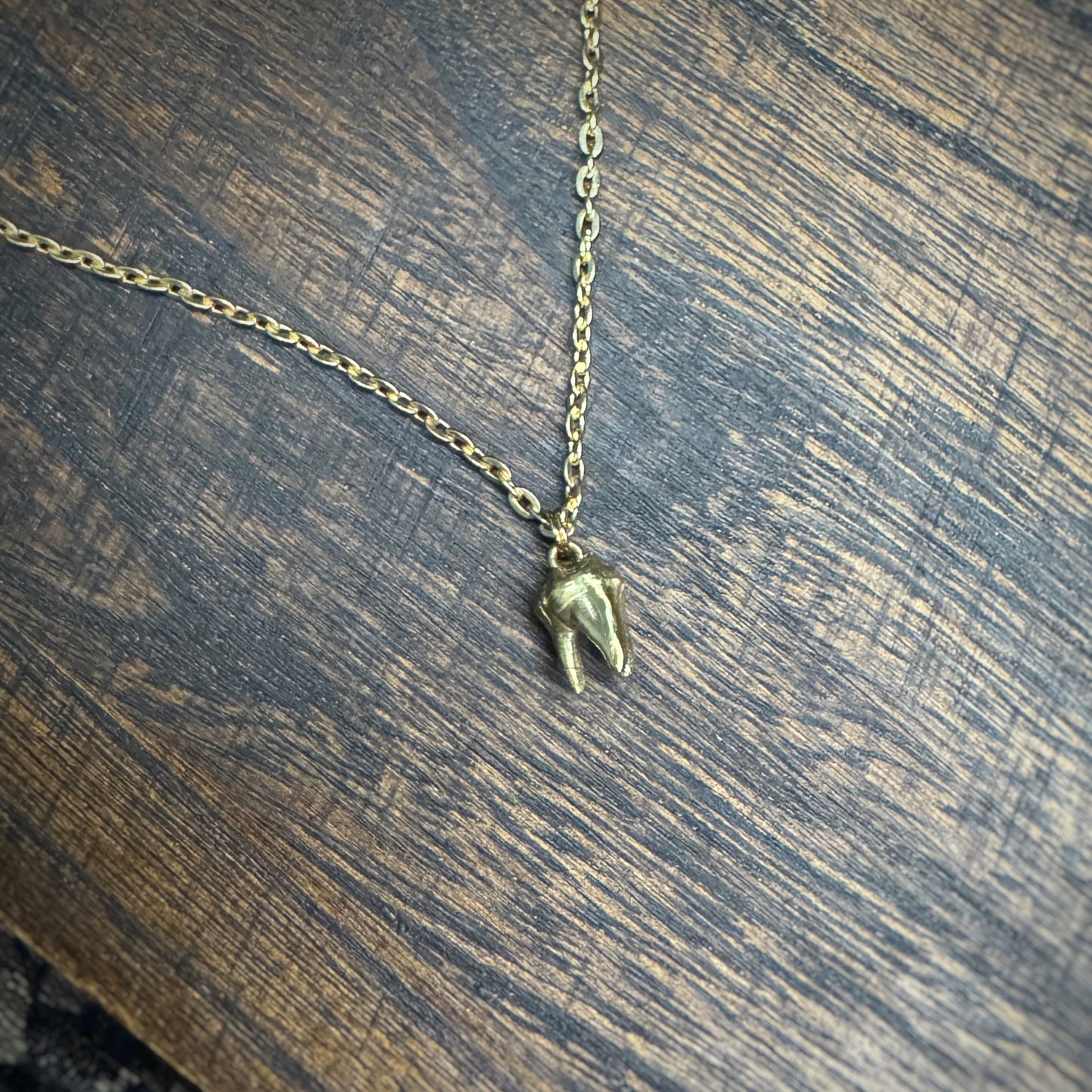 Brass Cat Tooth Necklace