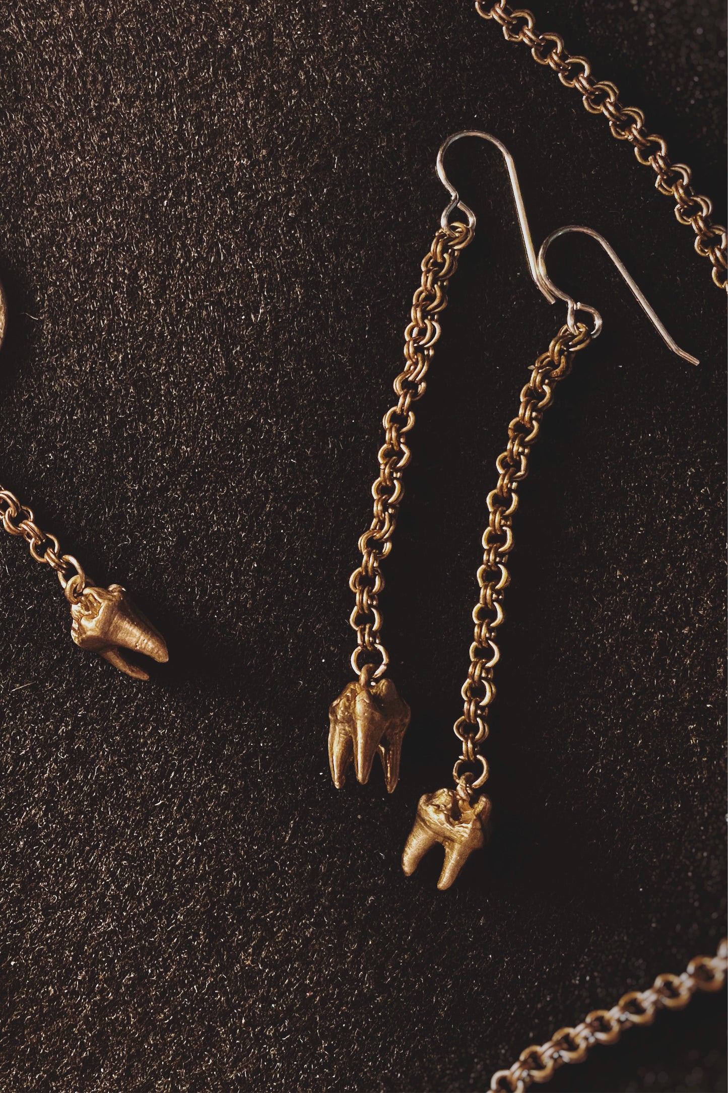 Brass Cat Tooth Dangle Earrings