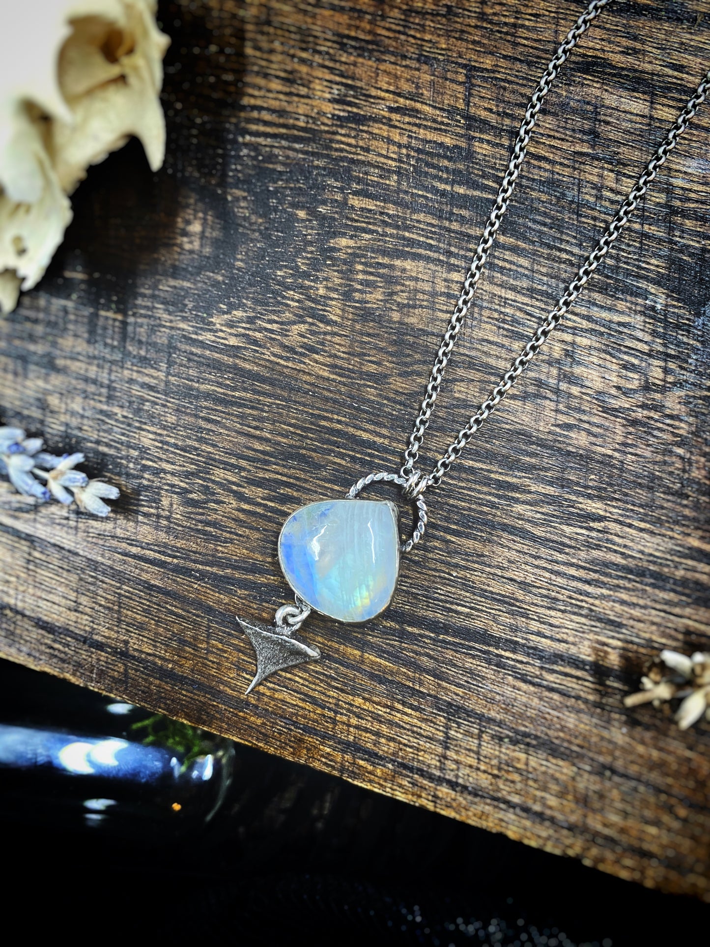 Rainbow Moonstone Thorn Necklace in Sterling Silver