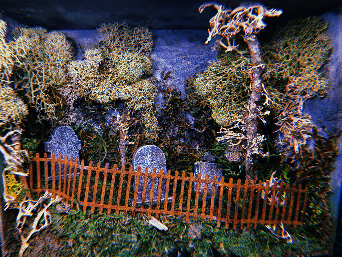 Graveyard Miniature (Acceptance)