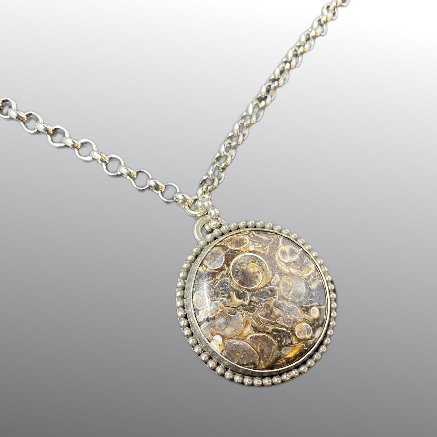 Sterling Shell Fossil Necklace Round