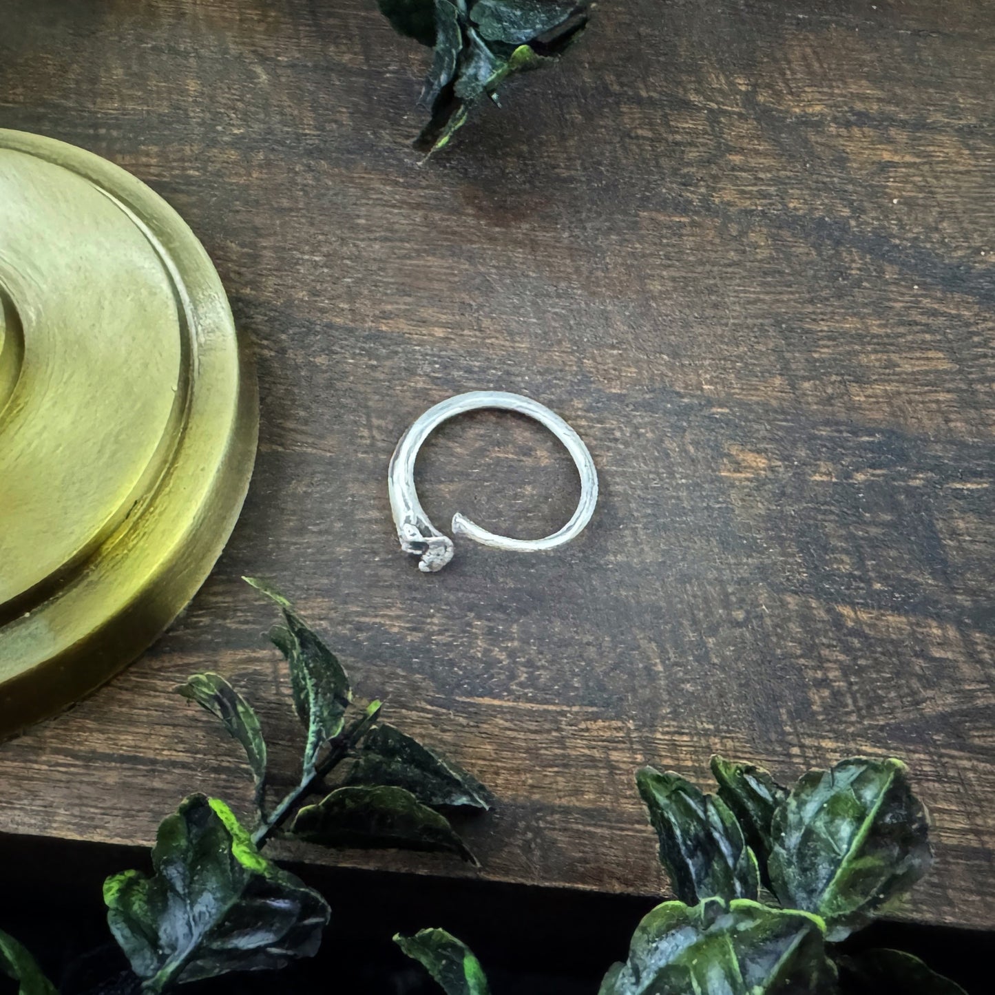 Ouroboros I: Silver Snake Rib Adjustable Ring