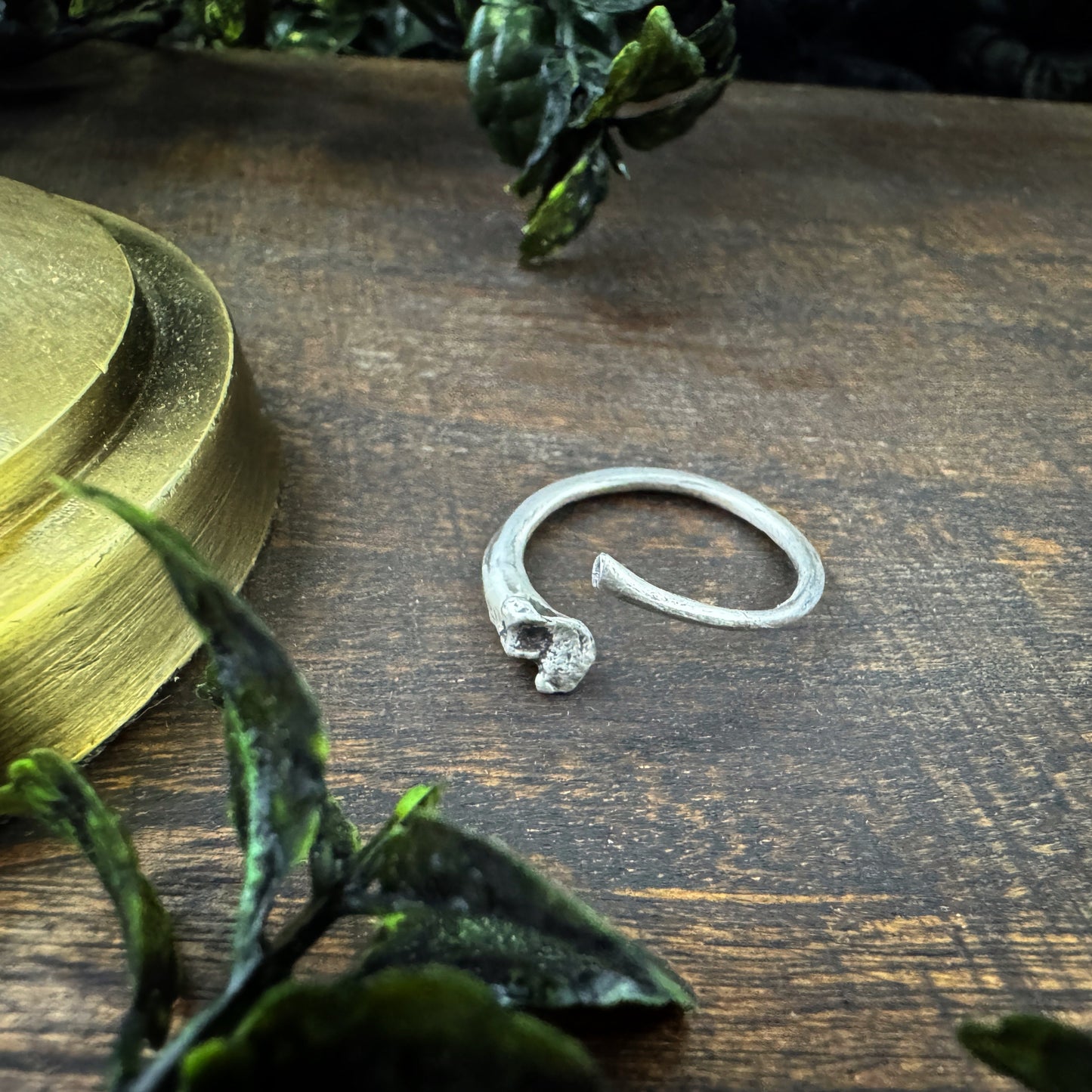 Ouroboros I: Silver Snake Rib Adjustable Ring