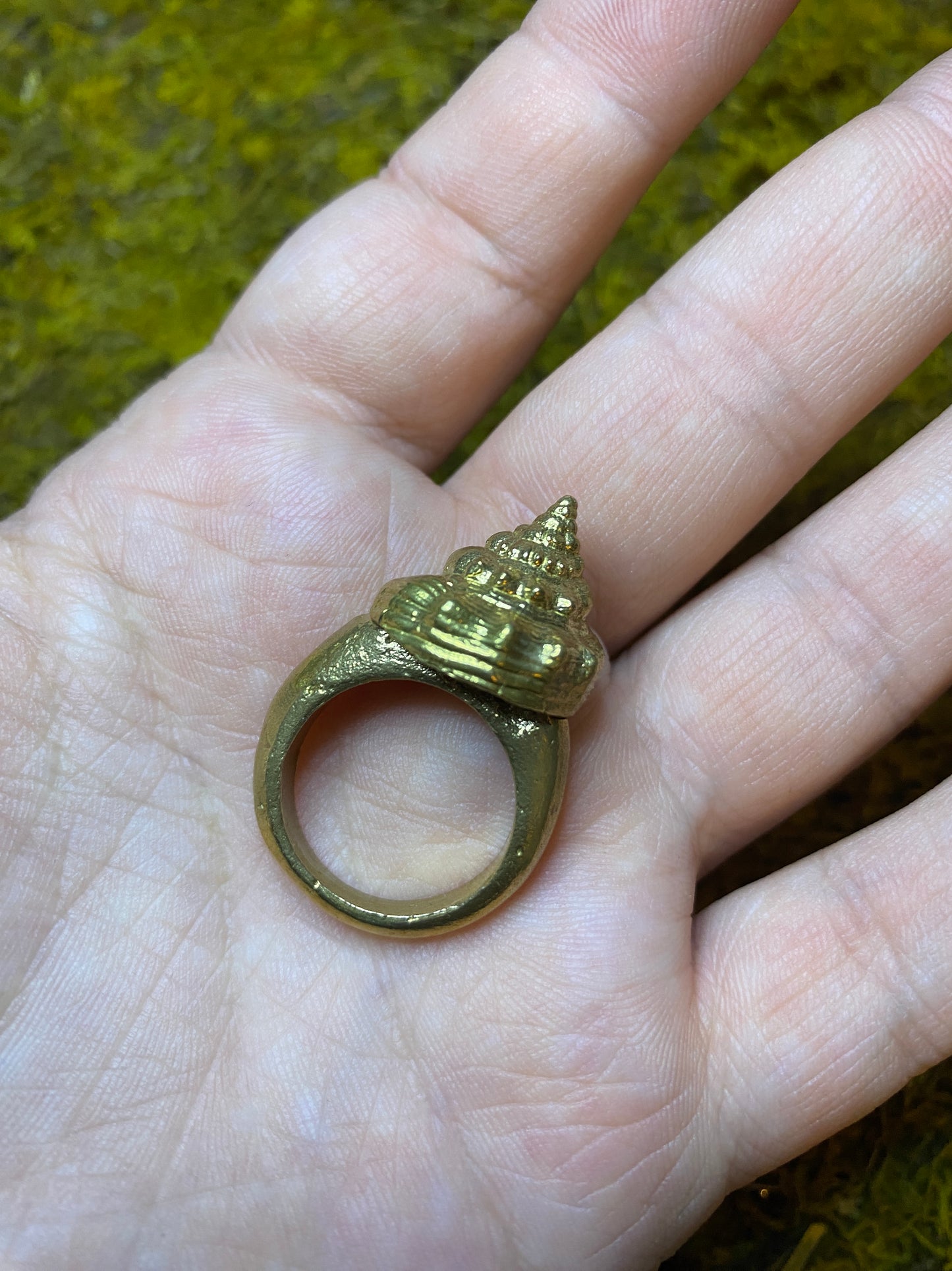 Brass Shell Ring (size 7)